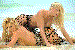 I0000002.gif (2971 octets)